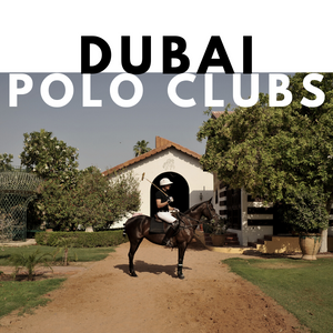 Polo in Dubai