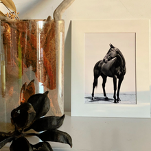 Load image into Gallery viewer, Gift Box &quot;Horse Collection&quot;
