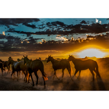 Load image into Gallery viewer, Coffee Table Book &quot;Polo &amp; Horses&quot;
